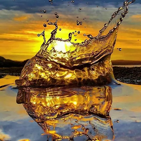 船上ホテル Barco-apartamento En El Nautico De